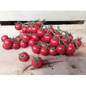Pomodori Ciliegino - 500 Gr.