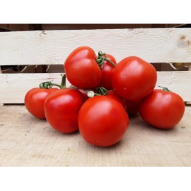 Pomodori Grappolo - 1 Kg