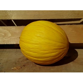 Melone Giallo - 1 Frutto