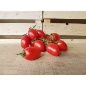 Pomodori Piccadilly - 1 Kg