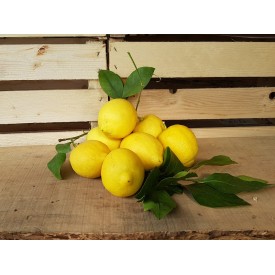 Limoni In Foglia - 3 Frutti