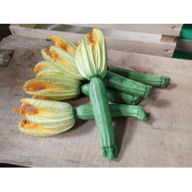 Zucchine Chiare - 500 Gr.