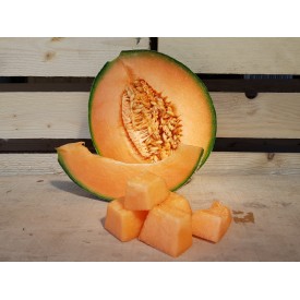 Melone Retato - 1 Frutto