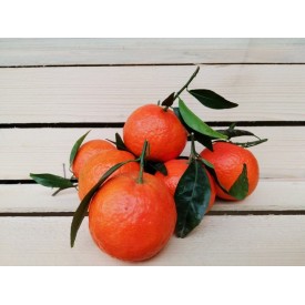 Clementine - 1,1 Kg